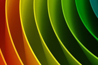 Lion Animals Galaxy S4 S5 Wallpapers HD 1080x1920