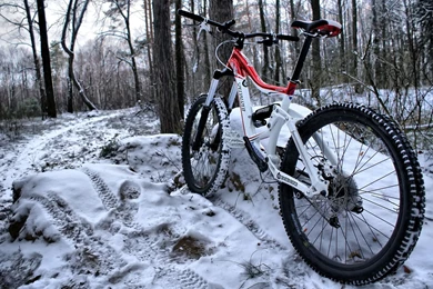 Wallpapers Bicycle, Forest, Bike, Winter, Snow Desktop Wallpapers ...