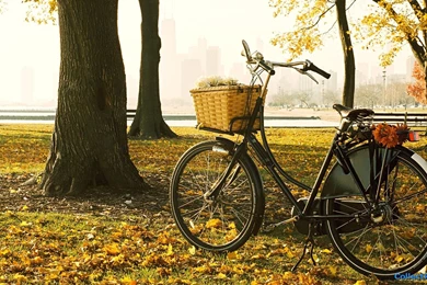 1920x1080   Page 257