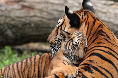 19895_1600x1200 wallpaper cb1273244048.jpg