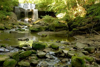 Natural Waterfall Wallpapers   Desktop Backgrounds