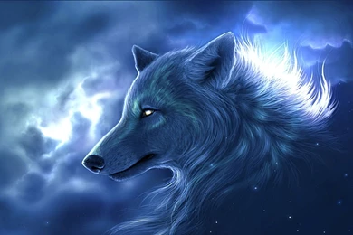 Gallery For   Awesome Anime Wolf Backgrounds