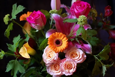 Wallpapers Of Flowers And Nature   HD Wallpapers And Pictures