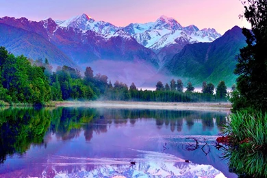 Organic Photos, Amazing Nature Wallpapers, Green, Fresh, Iphone ...