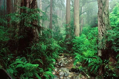 Amazing Nature Wallpapers   National Geographic Wallpapers (7897078 ...