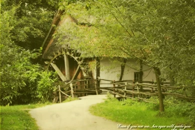 Amazing Nature Wallpapers   National Geographic Wallpapers (7896991 ...