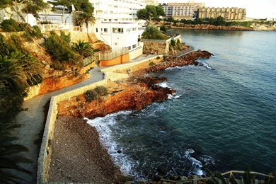 Amazing & Beautiful Free Nature Wallpapers HD