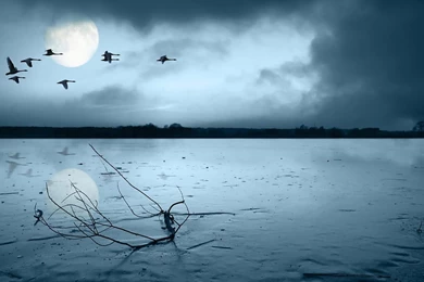 Amazing nature wallpaper 1280×1024 1001089