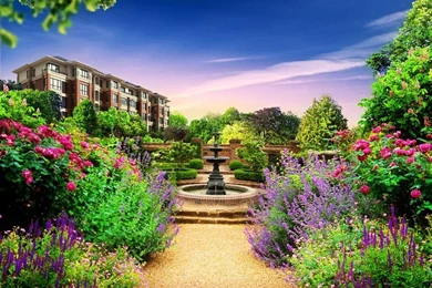 Amazing Nature Wallpapers, Nature Images, Green, Sky, Plants ...