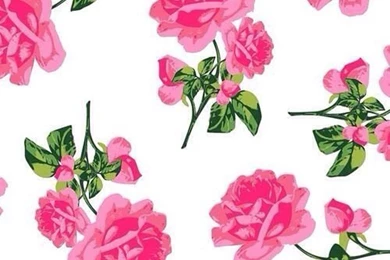 Pink Rose Wallpapers