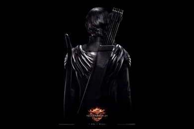 The Hunger Games Mockingjay Wallpaper HD Desktop Backgrounds.jpg