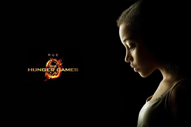 Gallery For Hunger Games Wallpapers For Computer