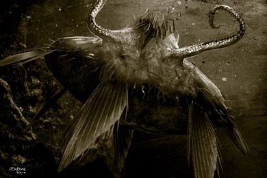 Trail Of Cthulhu Wallpapers