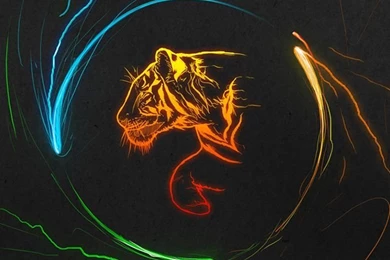 Cool Iphone 5 Wallpapers HD Backgrounds 545   Seo Wallpapers