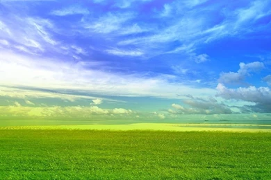 3D Landscape: Beach, Picture Nr. 4515