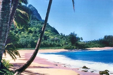 3D Beach Wallpaper 5.jpg