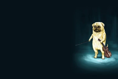 Awesome Wallpapers 34 Wallpaper Backgrounds Hd Awesome Wallpapers Hd ...