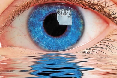 Desktop Wallpapers · Gallery · HD Notebook · Blue Eye Hd Wallpapers ...