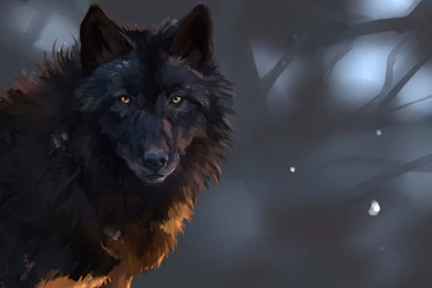 Arctic Wolves Widescreen Wallpapers