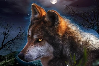 Fantasy Wallpapers Hd