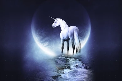Fantasy Pegasus Wallpapers HD Widescreen