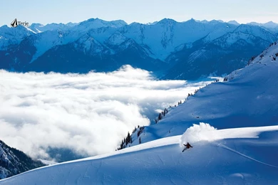 Snowboard Wallpapers And Images   Wallpapers, Pictures, Photos