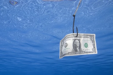 Hook Bait Lure Bill Buck Water Nirvana Wallpapers