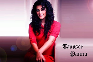 Free Download 11 Taapsee Pannu HD Wallpapers 2015