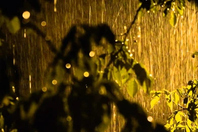 Rain In Night   Heavy Rain Sound & Video In Beautiful Nature Full ...