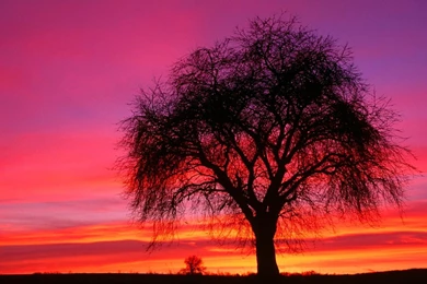 1920x1080 Full HD Wallpaper 34.jpg