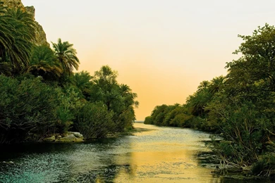 YouWall   Paradise River Wallpapers   Wallpaper,wallpapers,free ...