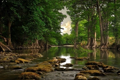 1920x1200px Forest River HD Wallpapers