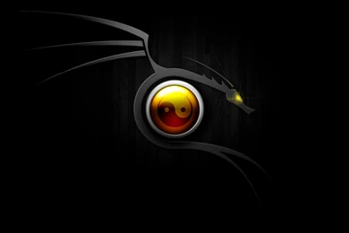 Dragon Logo Wallpapers Wallpapers Cave