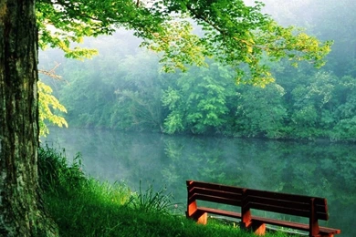 Wonderful HD Wallpapers Free Download Best HD Desktop Wallpapers ...