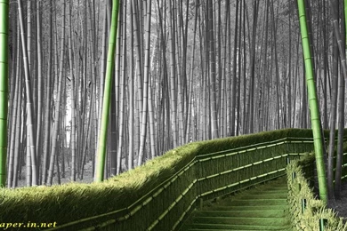 Computer Wallpapers Archives   Page 3 Of 18   Free Desktop ...