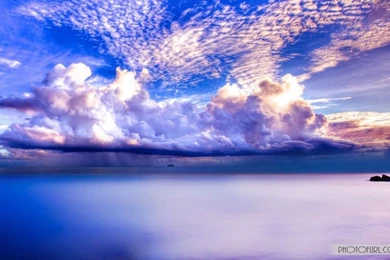 The Most Beautiful Free Desktop Laptop Wide Screen Nature Summer ...