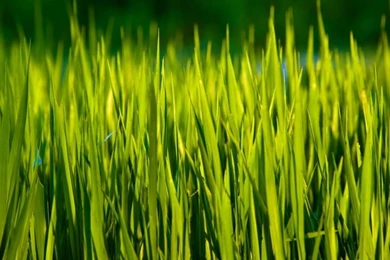 Best Wallpapers For PC 11 Photos Of Best Wallpapers For PC: By ...