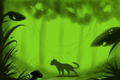 Jungle Backgrounds Practice By LemonadeLesley On DeviantArt