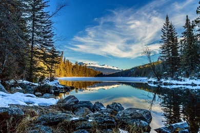 Hd Nature Images, Wallpapers Of Natures, Organic, Fresh Air ...