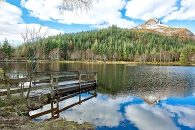 Hd Nature Images, Wallpapers Of Natures, Plants, Windows Nature ...