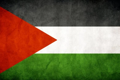 Palestine Flag Exclusive HD Wallpapers