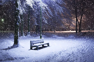 Winter Nature Wallpapers 3.jpg
