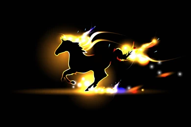 Horse Silhouette Fire Wallpapers