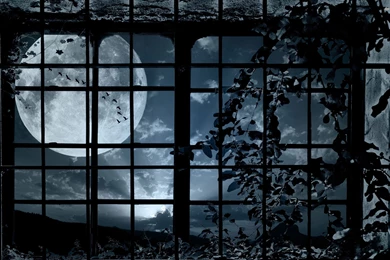 Full Moon Wallpapers   Digital Art Wallpapers