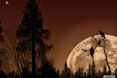 YouWall   Full Moon Wallpapers   Wallpaper,wallpapers,free ...