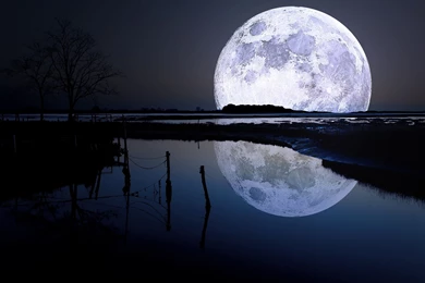 2560x1600 Full Moon Lagoon Wallpapers