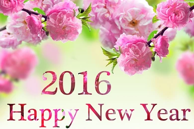 Happy New Year 2016 Wallpapers