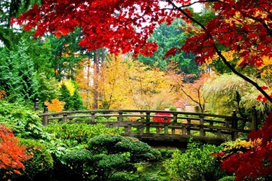 Valley Desktop Wallpapers