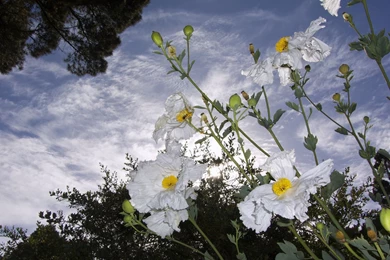 Hd Desktop Images, Amazing Views, Cool Backgrounds, Windows ...