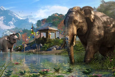 Far Cry 4 Wallpapers HD Desktop